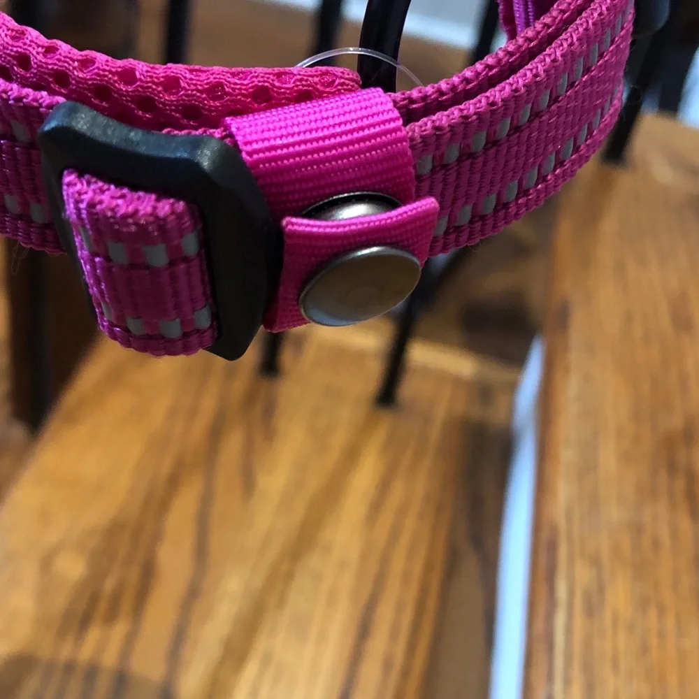 Bundle TWO TRUE LOVE DOG COLLARS IN EXCELLENT CONDITION!